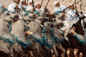 « Tbourida » : L’heure est aux qualifications pour le Trophée Hassan II