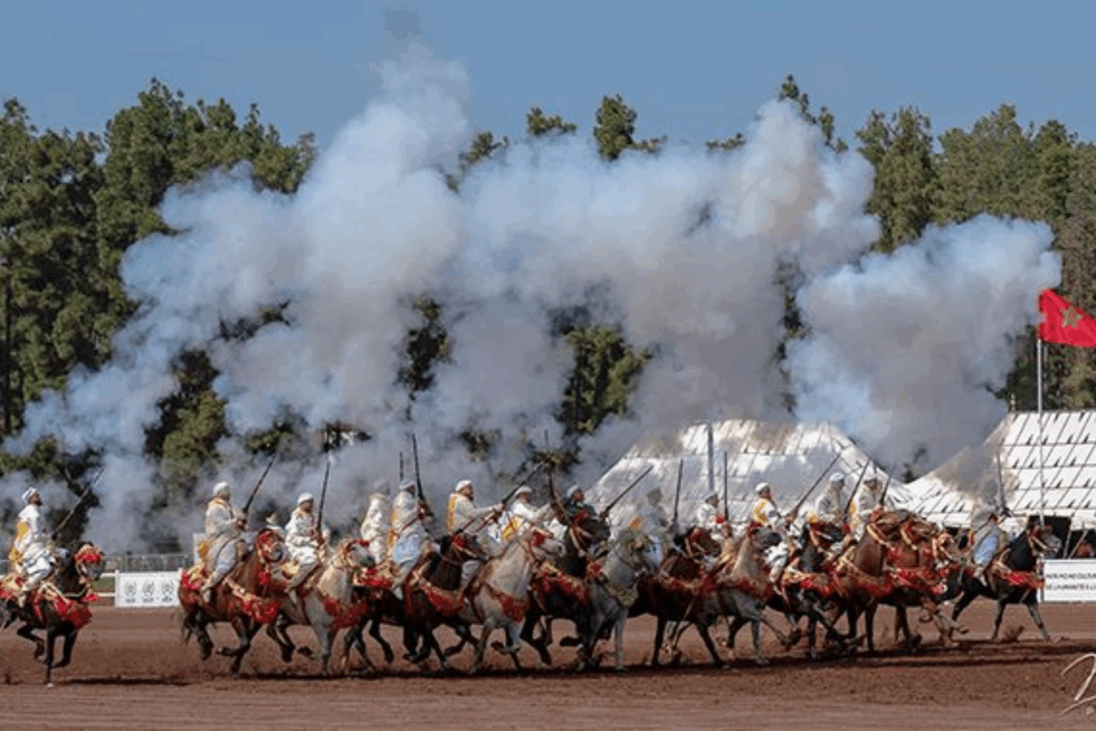 Trophée Hassan II de Tbourida 2025 : Rendez-vous à Dar Es Salam