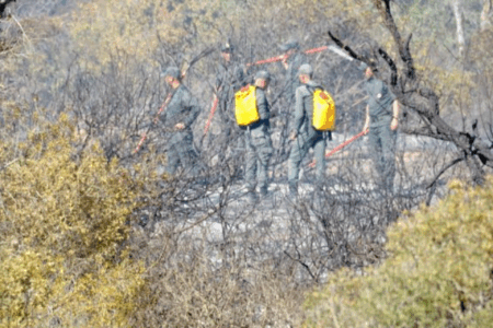 Feu de forêt : Près de 4 ha ravagés par le feu. La forêt de Thanda Ifran épargnée