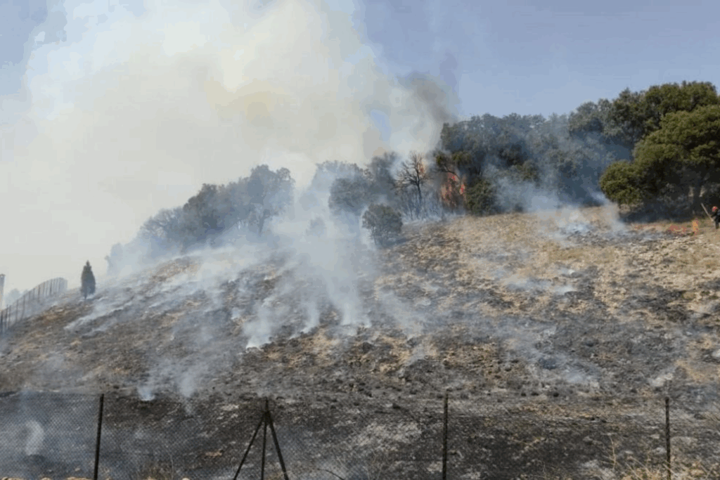 Feu de forêt : 8 foyers circonscrits, selon l’ANEF, appel à la vigilance...