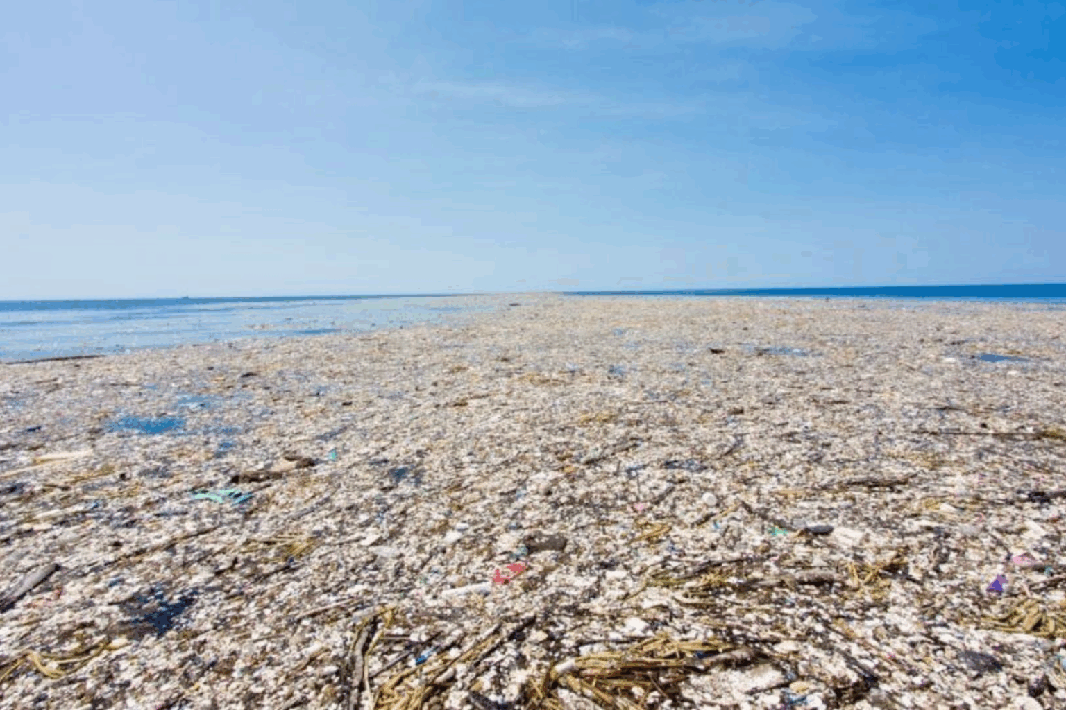 Pollution des océans : En attendant le rendez-vous de Genève : Nice lance un appel en faveur d’un traité plastique