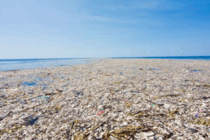 Pollution des océans : En attendant le rendez-vous de Genève : Nice lance un appel en faveur d’un traité plastique