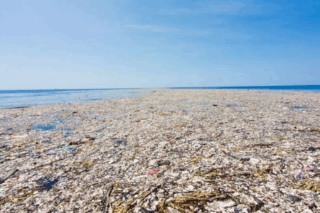 Pollution des océans : En attendant le rendez-vous de Genève : Nice lance un appel en faveur d’un traité plastique