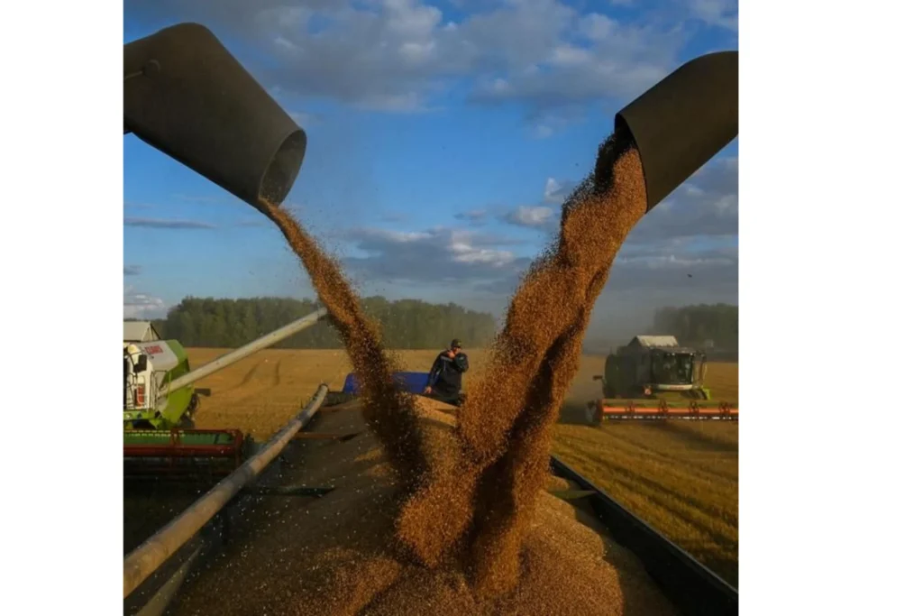 Importations des céréales : Le blé russe prend du poids. Du simple au double !