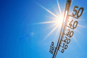 Canicule : L’OMM tire la sonnette d’alarme. S’adapter ou mourir