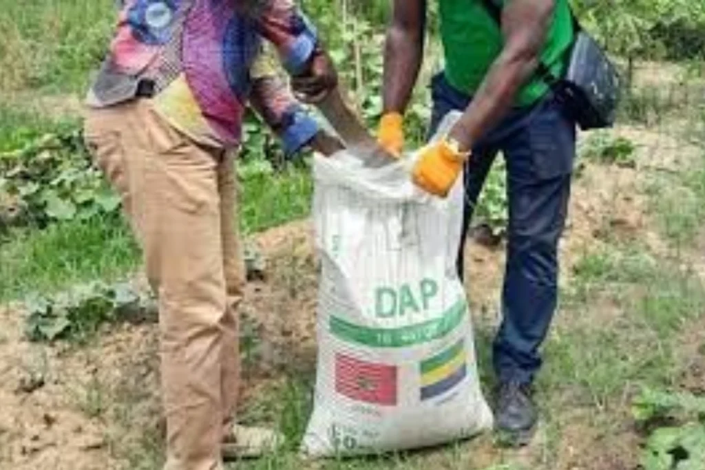 Diplomatie des engrais : Le Maroc appuie le programme « Nourrir le Ghana ». Accra réceptionne un don de 2.000 t d’engrais