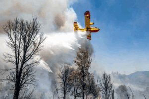Feu de forêt à Ait Isha : Les Canadair sollicités. 13 hectares partis en fumée