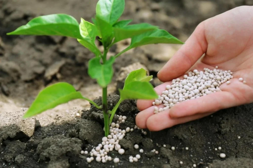 Valorisation des phosphates : Grâce au TSP Hub, OCP Nutricrops produits plus de 5.000 T de TSP