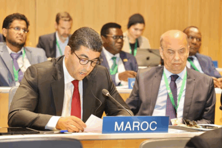 Propriété intellectuelle : Le Maroc se rapproche de l’OMPI. Quête d’expertise...