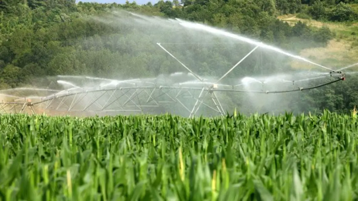 Agriculture : Le Maroc décroche l’or