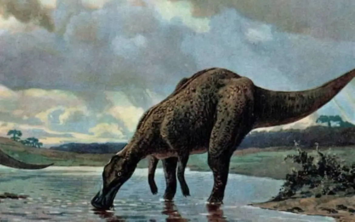 Découvertes archéologiques : Un dinosaure déterré dans l’Oriental
