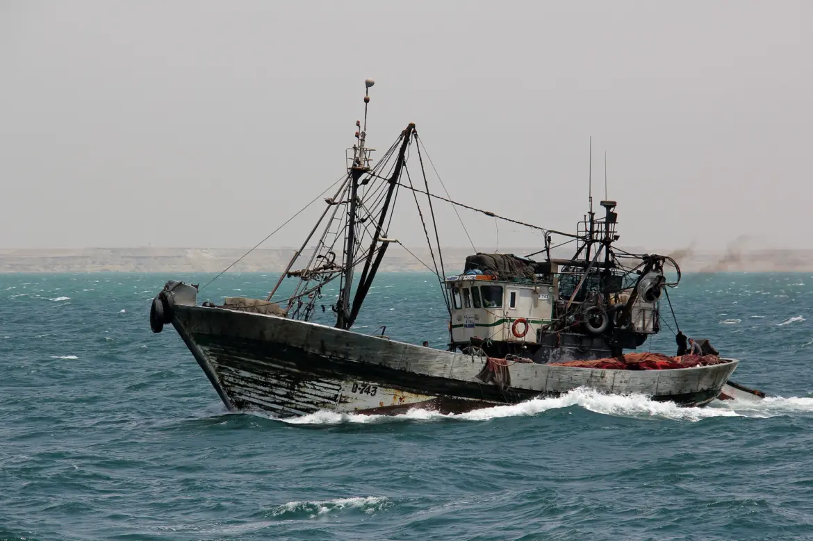 La biomasse marine à l’épreuve du dérèglement climatique : Des espèces tropicales localisées à Dakhla