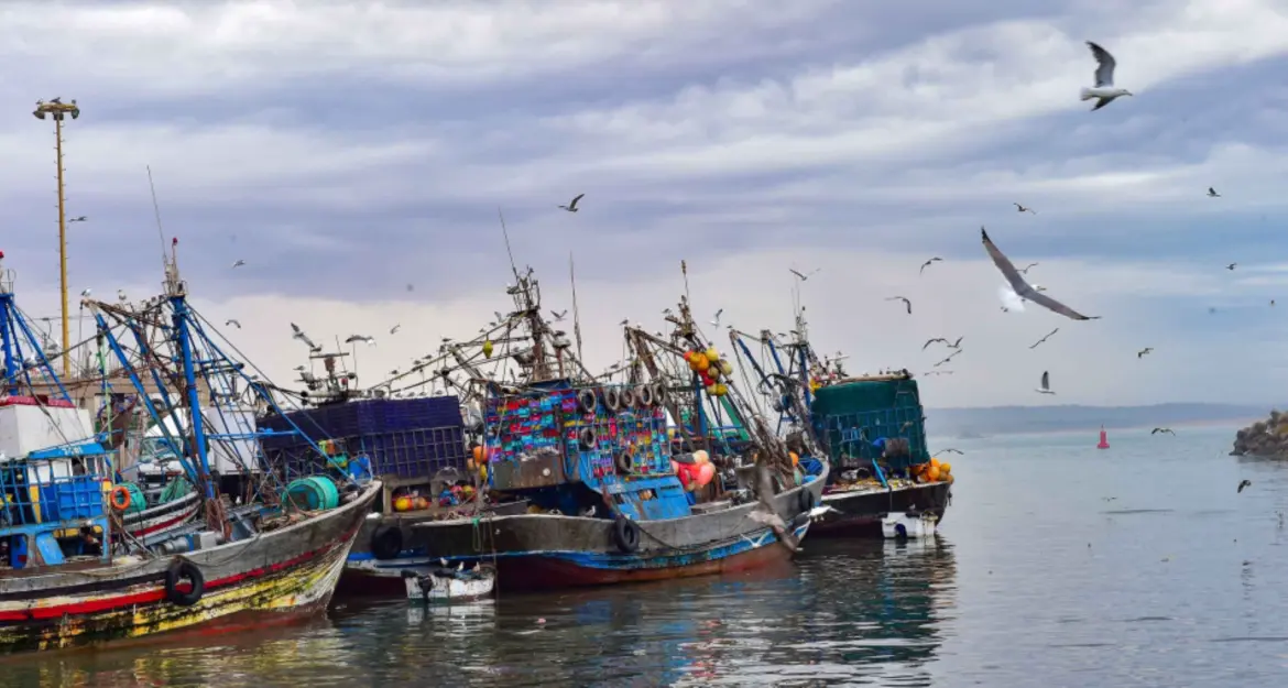 Economie bleue : El Jadida accueille SIPORTS 2026 et s’ouvre au grand large