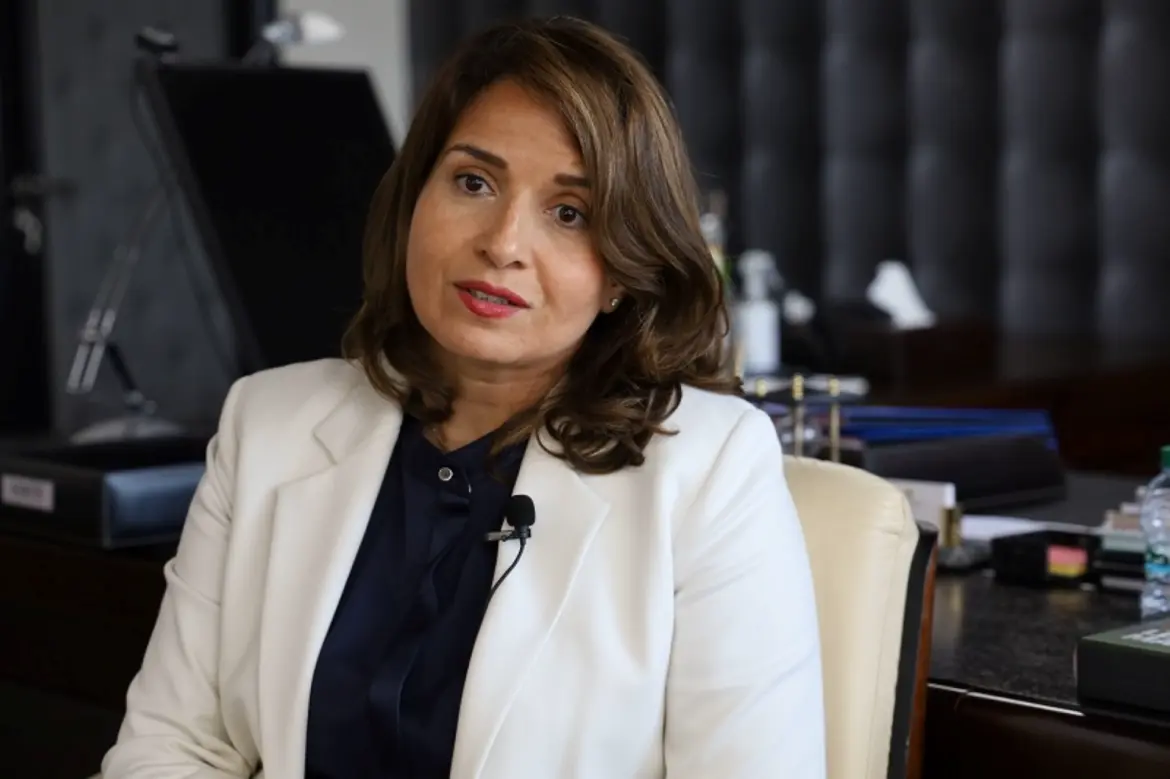 Registre minier marocain : Le pari de la numérisation