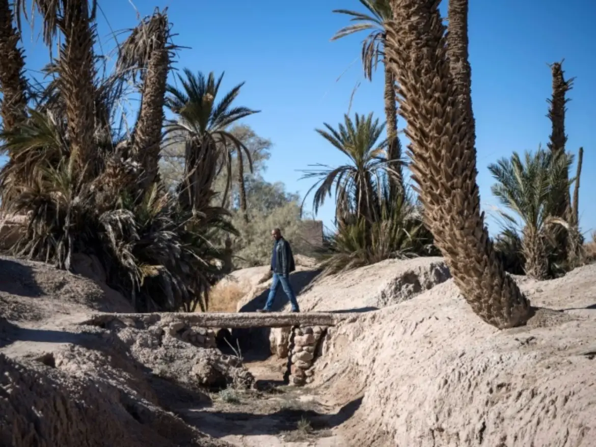 L’agriculture à l’épreuve des dérèglements climatiques : Les vulnérabilités du Maroc sous la loupe de la FAO et de l’OMM