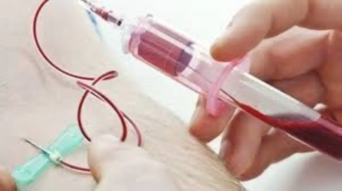 Agence marocaine du sang : La Santé à l’épreuve du déficit en ressources humaines