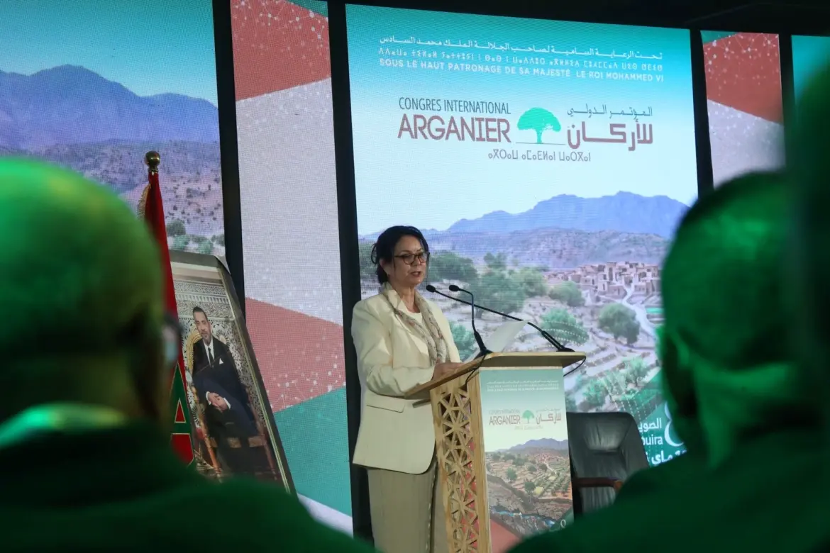 Journée internationale de l’arganier : Un patrimoine national à préserver