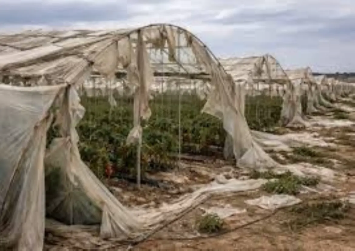 Dégradation du capital biologique : Un rapport accablant du CESE !