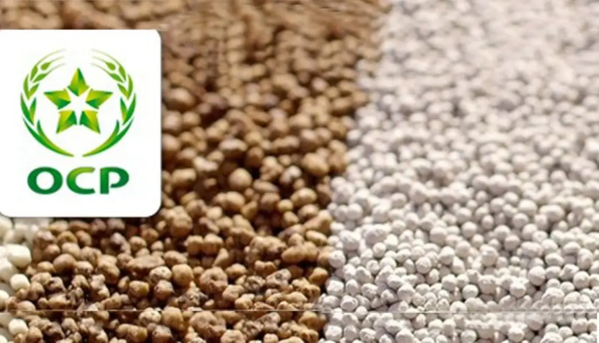 Fertilisants phosphatés : Le Maroc érigé en « fournisseur sûr » par le GTAI allemand