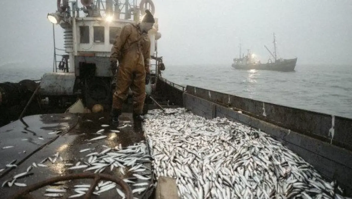 Coopération maroco-russe : Le gouvernement valide le partenariat dans le secteur des pêches