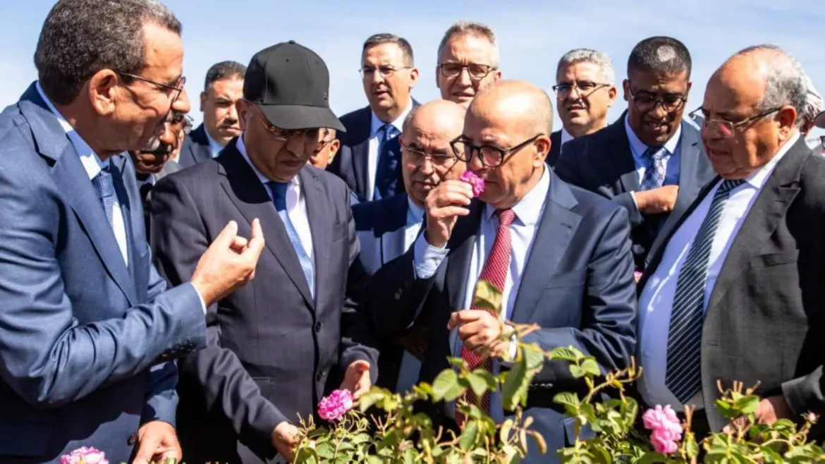 Le PIB agricole chiffré à 170 milliards de Dh : Lorsque A. El Bouari s’auto-congratule…