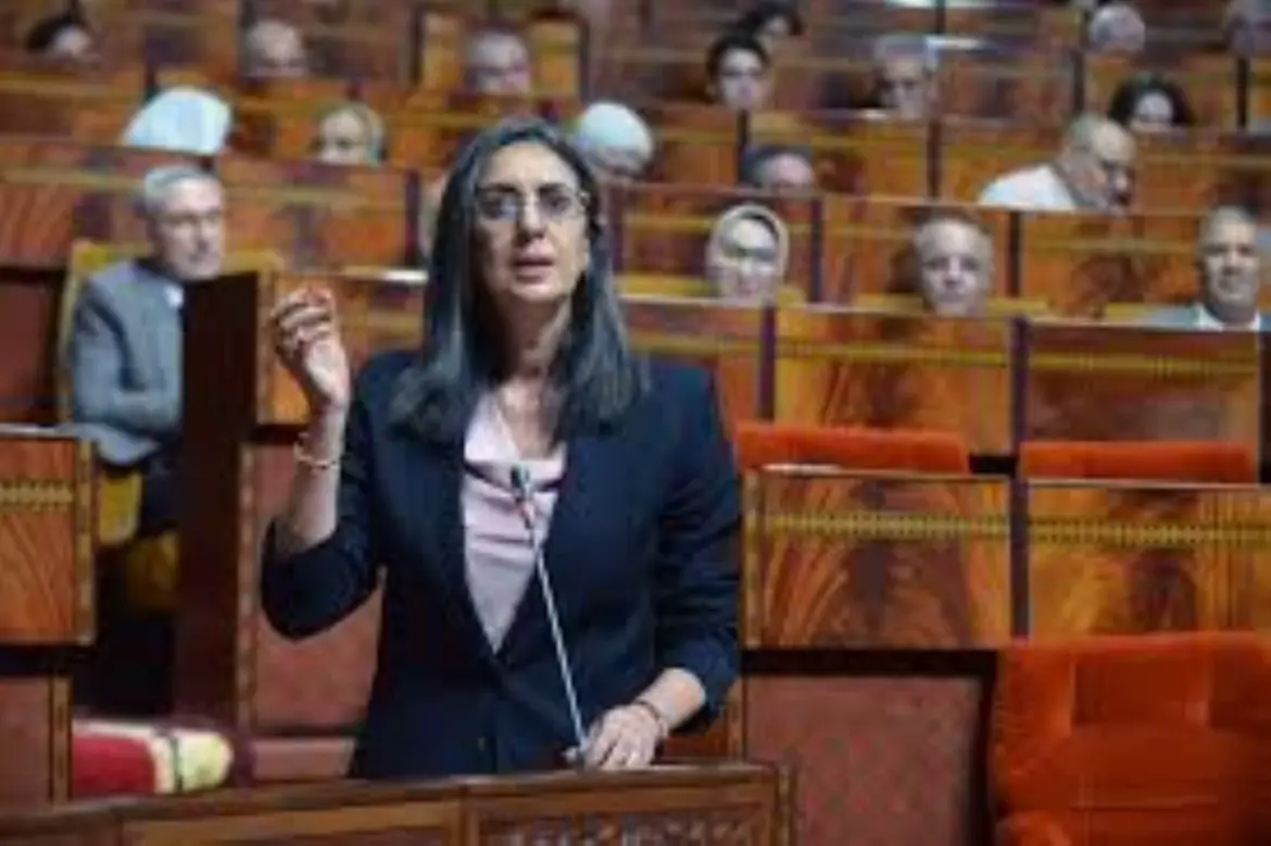 Loi de Finances : Le passage par les fourches caudines du parlement sans effet…