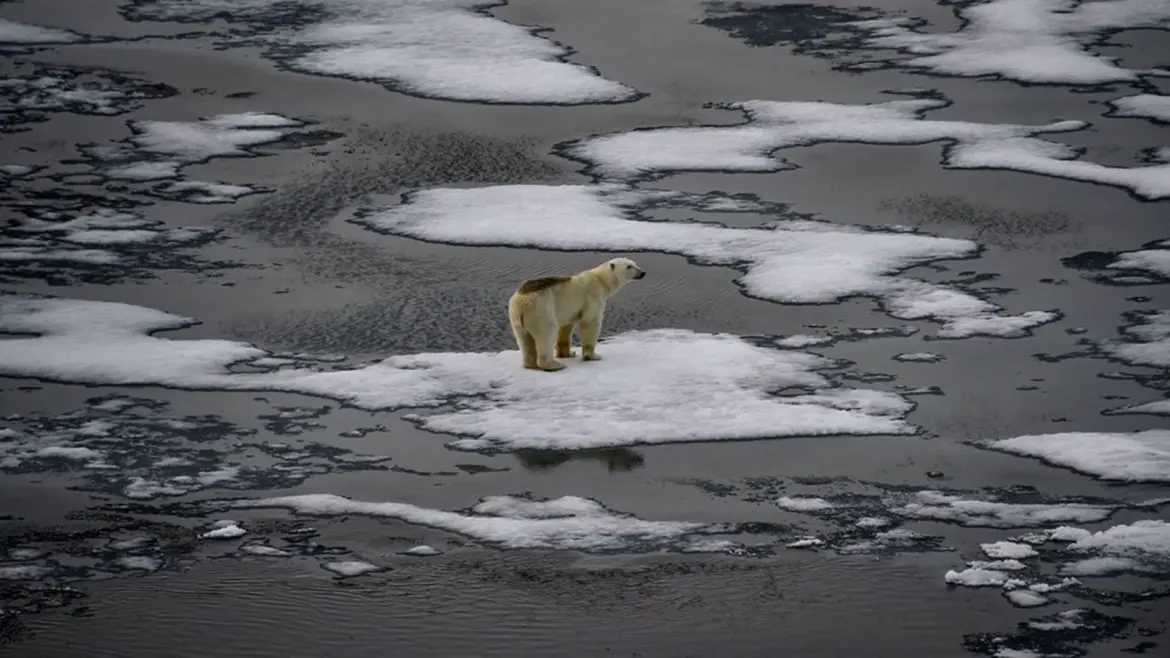 Réchauffement climatique record en 2025 : Un palier qui suscite l’inquiétude de la communauté scientifique