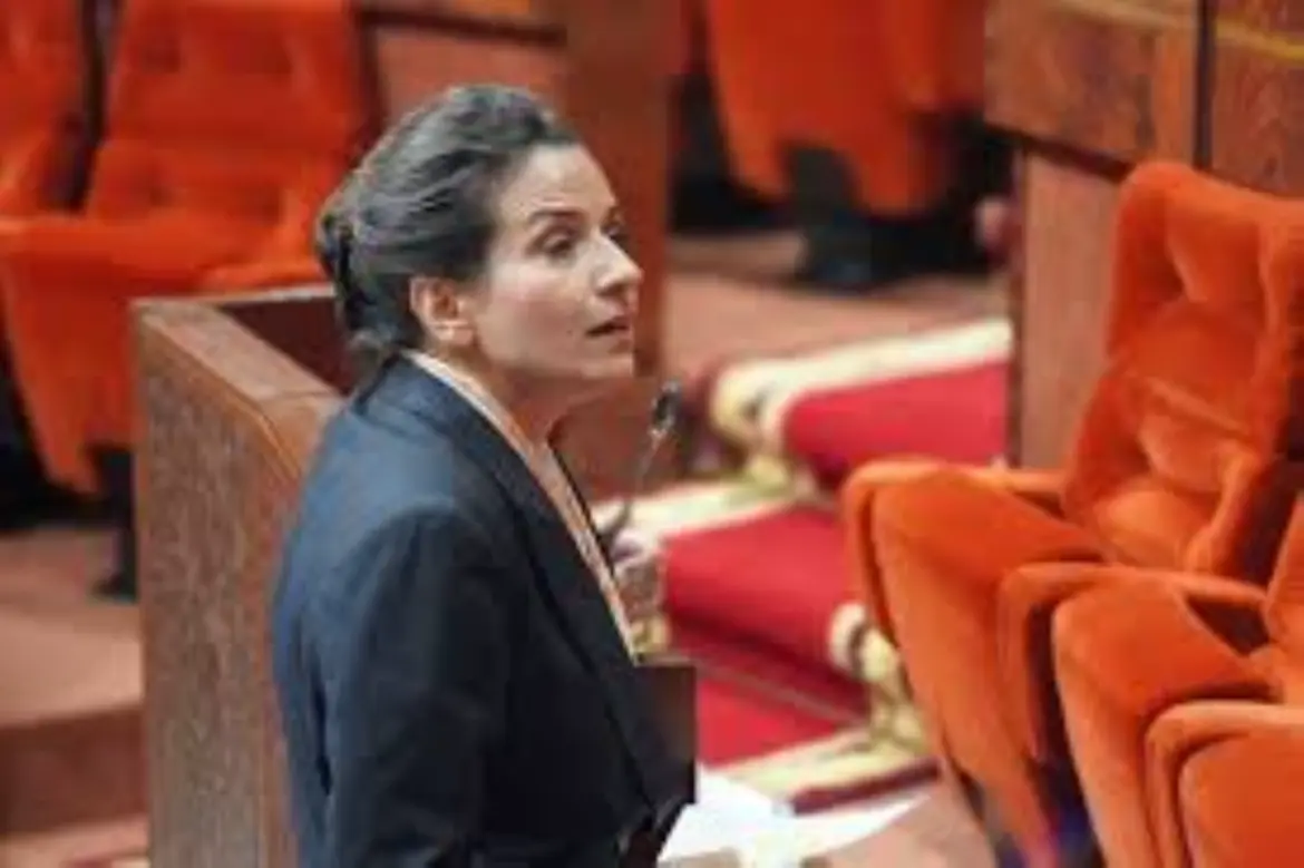 Les hydrocarbures enflamment les débats au parlement : L. Benali dans le box des accusés !