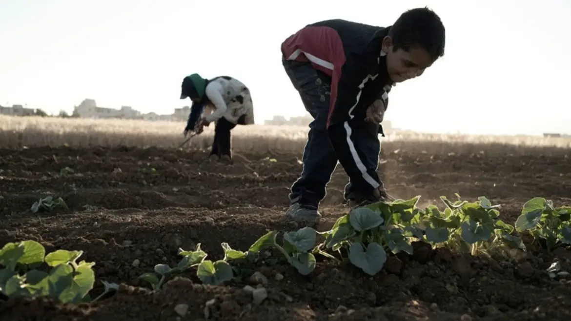 Travail des enfants : Y. Sekkouri parle de 123.000 cas, en majorité dans le rural