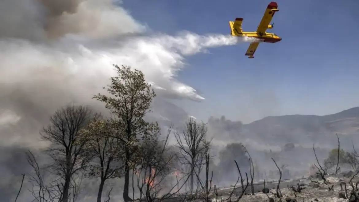 Risques d’incendie : L’ANEF lance un SOS