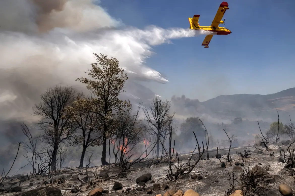 Feu de forêt : L’ANEF place 20 provinces à haut risque