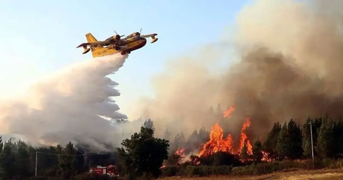Plus de 300 incendies de forêt : L’ANEF à l’affût…