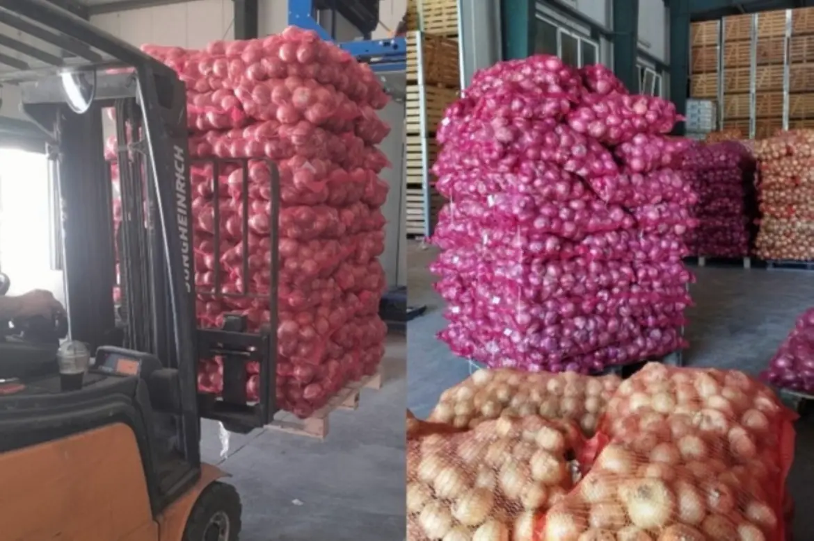 Déficit en produits horticoles : Nouveau record des importations d’oignons frais !