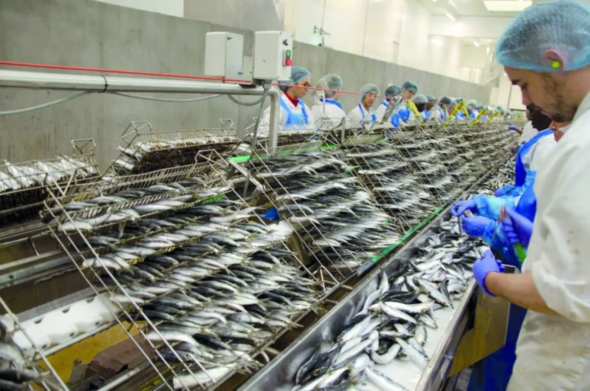 Exploitation pélagique : Fortune alerte sur les défis qui fragilisent cette pêcherie