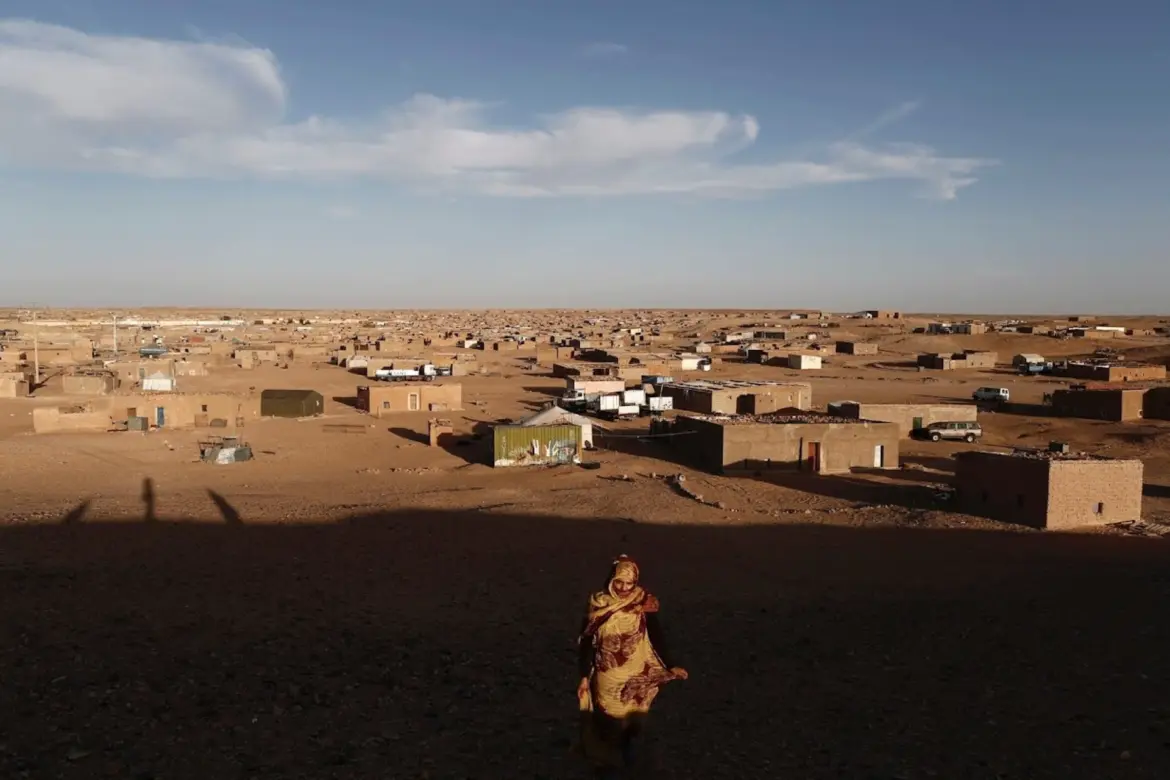 Réfugiés Sahraouis de Tindouf : Un calvaire sans nom, dénonce une ONG