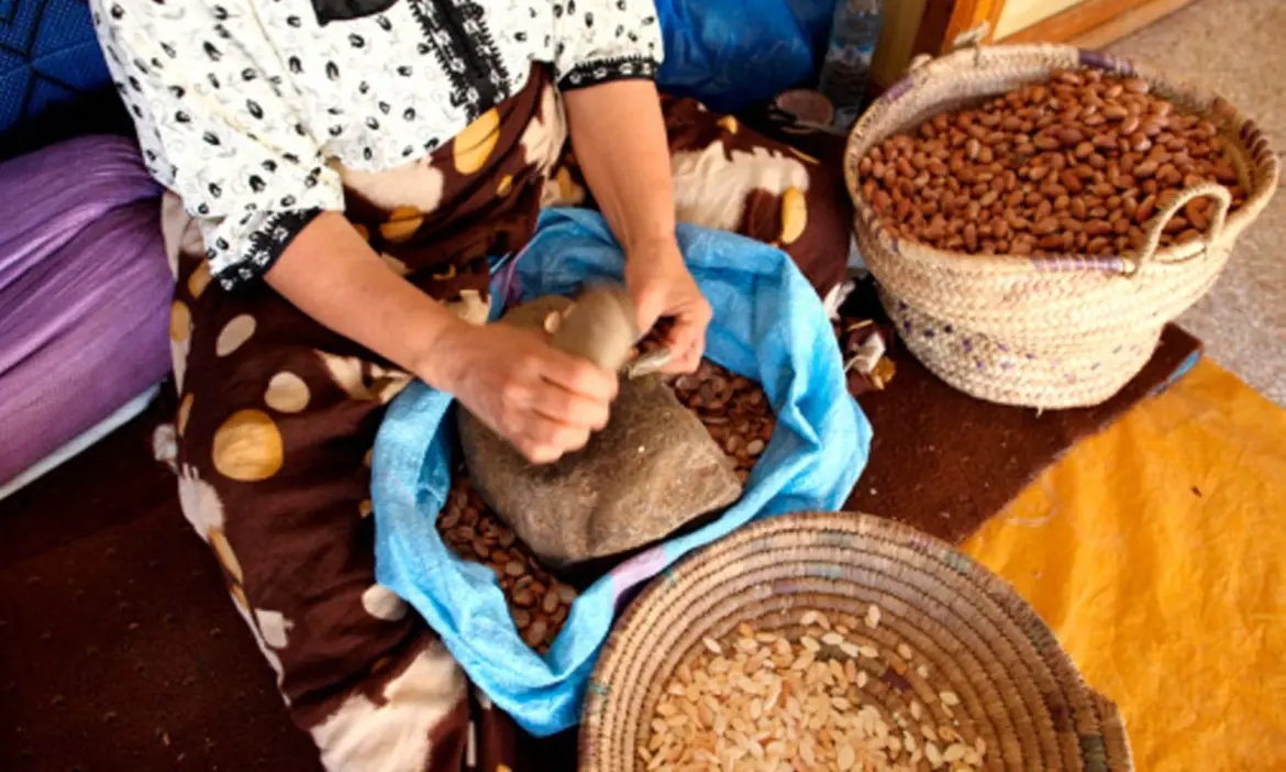Valorisation des sous-produits de l’huile d’argan : Des chercheurs marocains brillent à Wenzhou