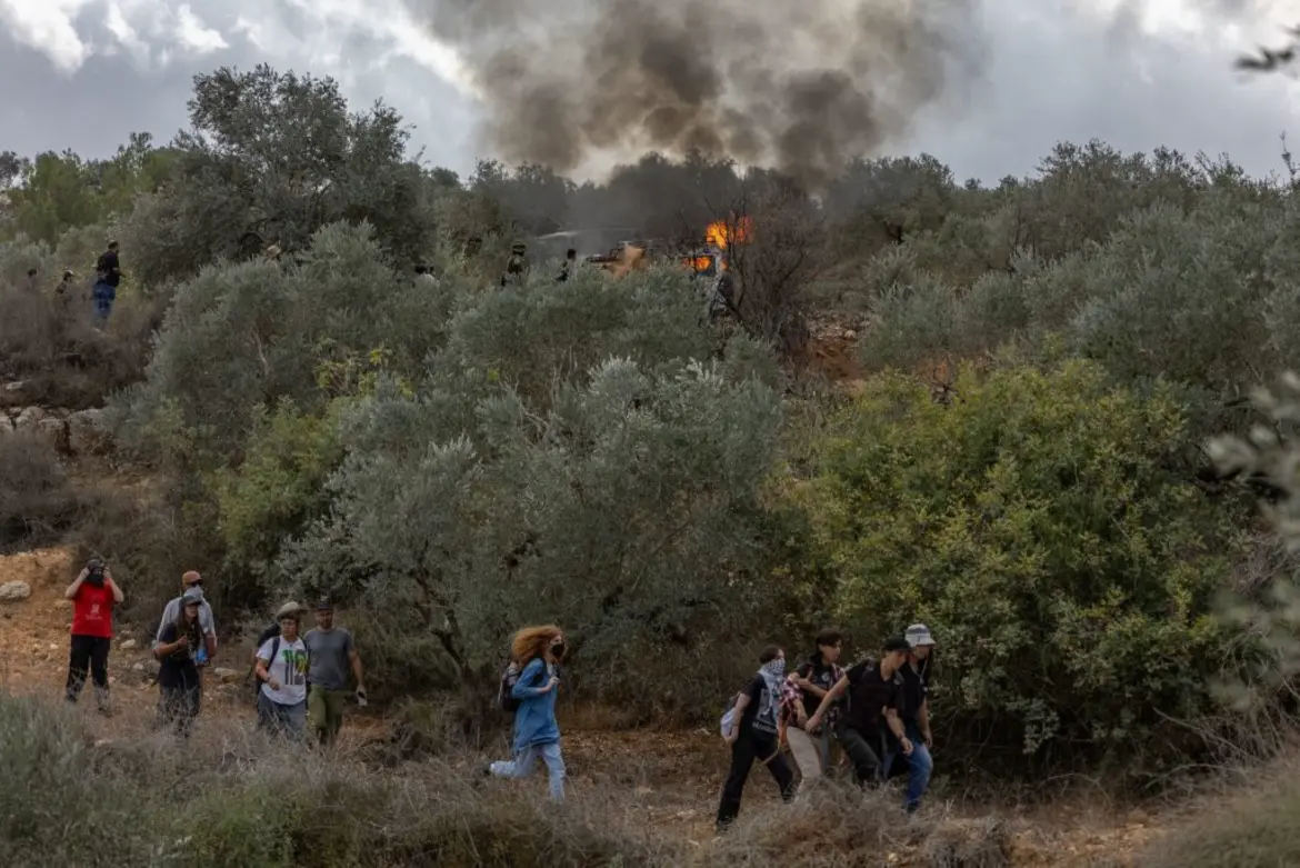 Les colons font la loi en Cisjordanie : Une journaliste américaine agressée à Ramallah