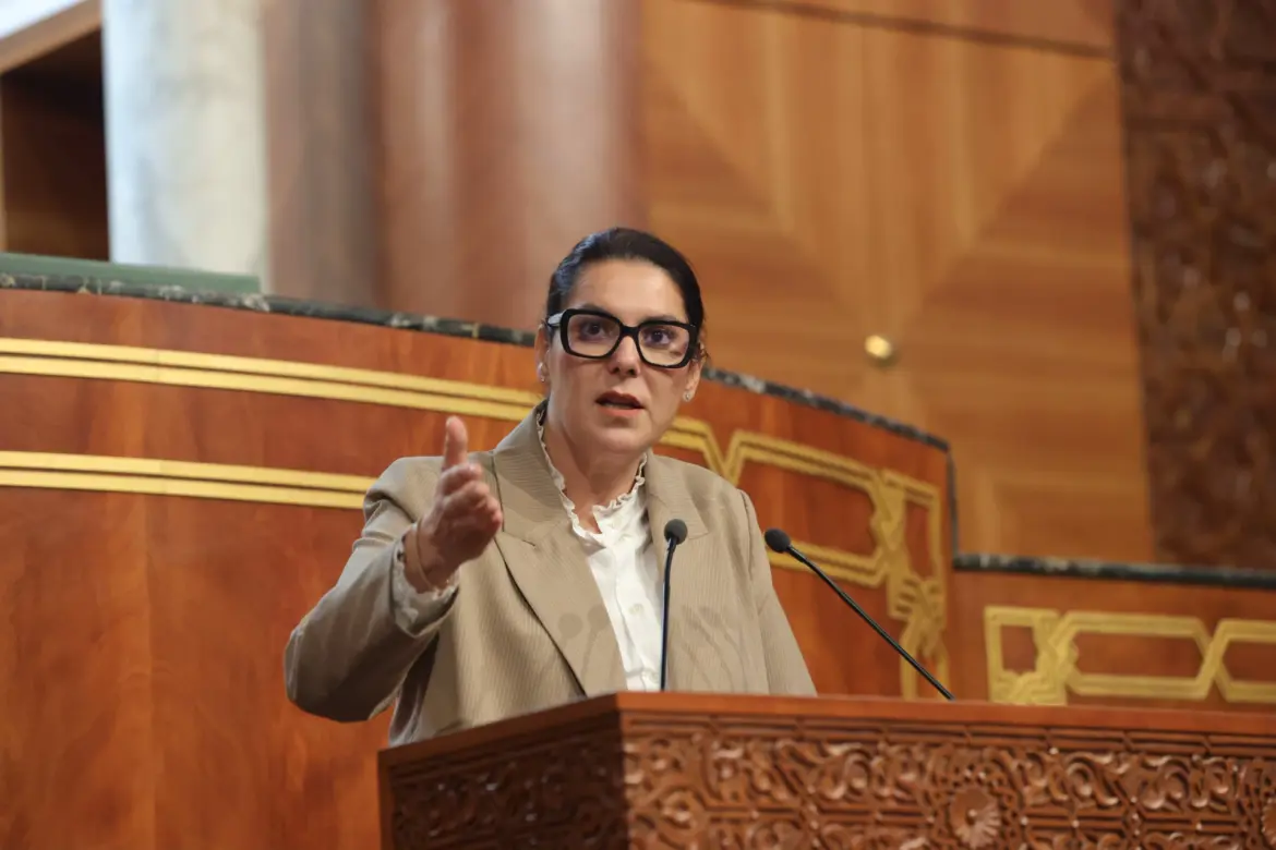 F-Z El Mansouri devant les conseillers : Un gouvernement d’ « audace et non de confusion »
