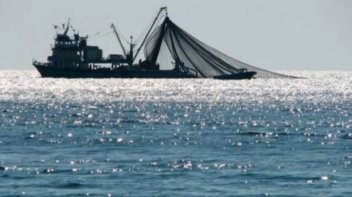 Accord de pêche : Les Russes veulent doubler les captures du petit pélagique