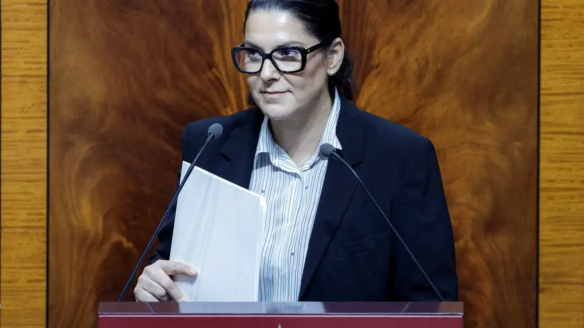 Déclaration du gouvernement devant le parlement : Le petit oral de F-Z. El Mansouri…
