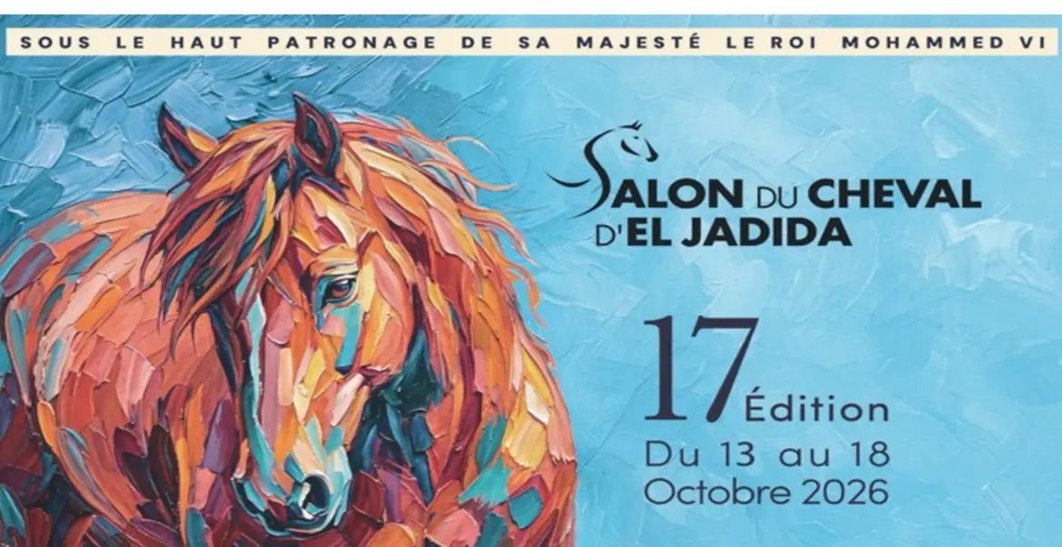 Patrimoine équestre : le Salon du Cheval d'El Jadida sublime l'excellence des lignées marocaines